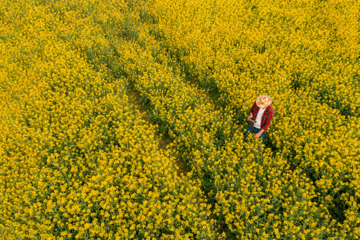 Agriculture